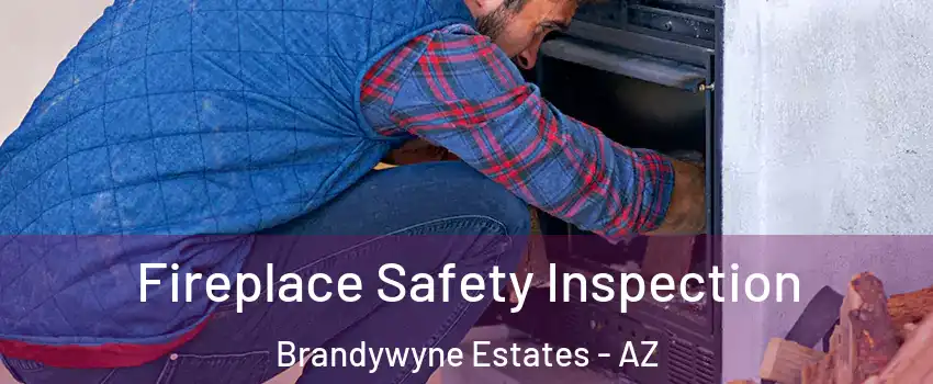 Fireplace Safety Inspection Brandywyne Estates - AZ