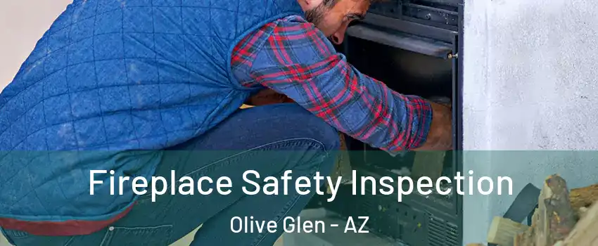 Fireplace Safety Inspection Olive Glen - AZ