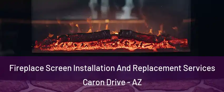 Fireplace Screen Installation And Replacement Services Caron Drive - AZ