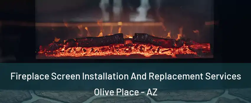 Fireplace Screen Installation And Replacement Services Olive Place - AZ