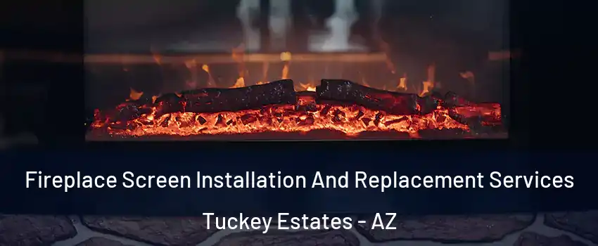 Fireplace Screen Installation And Replacement Services Tuckey Estates - AZ
