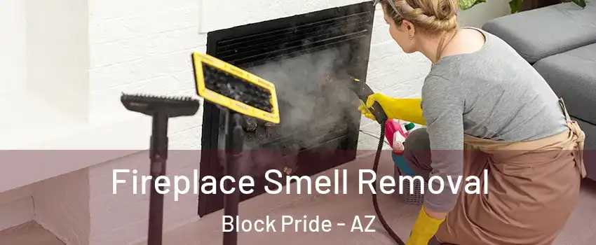 Fireplace Smell Removal Block Pride - AZ