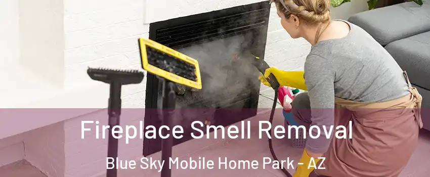 Fireplace Smell Removal Blue Sky Mobile Home Park - AZ