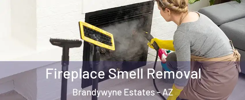 Fireplace Smell Removal Brandywyne Estates - AZ