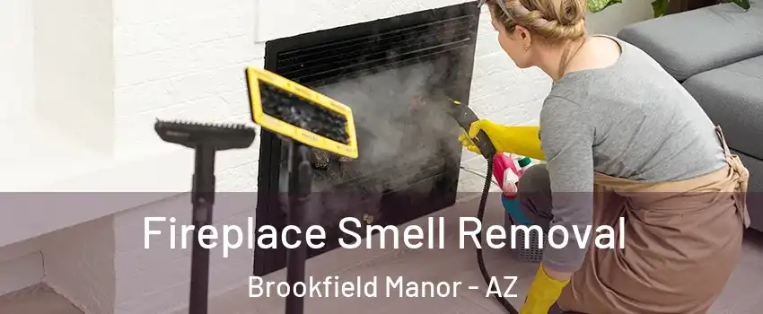 Fireplace Smell Removal Brookfield Manor - AZ