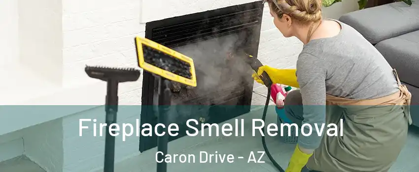 Fireplace Smell Removal Caron Drive - AZ