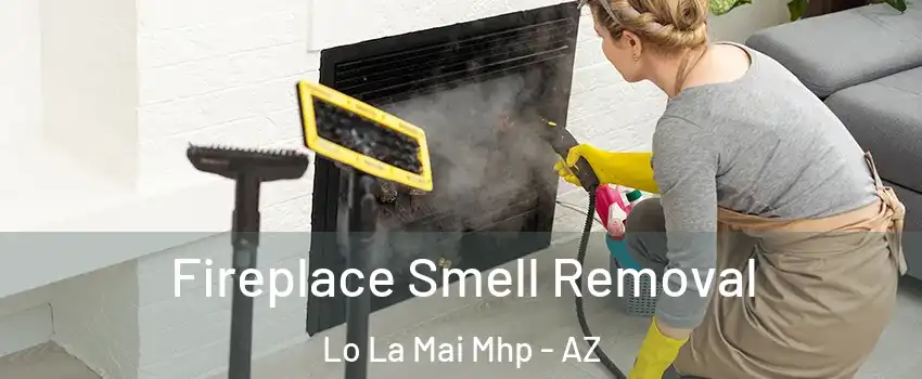 Fireplace Smell Removal Lo La Mai Mhp - AZ
