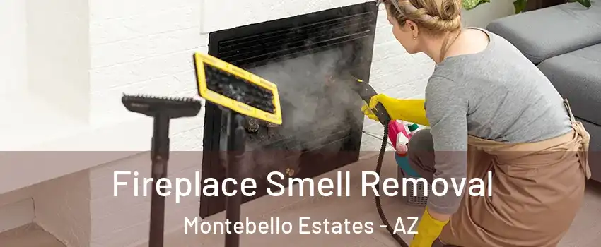 Fireplace Smell Removal Montebello Estates - AZ