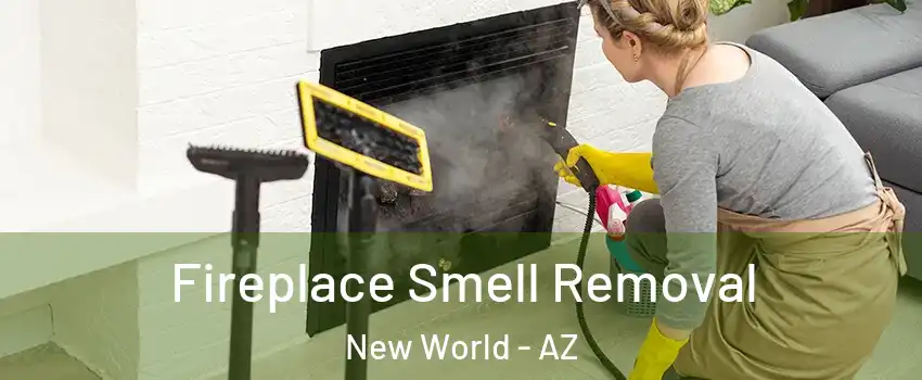 Fireplace Smell Removal New World - AZ