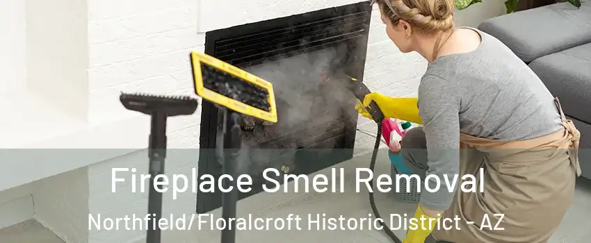 Fireplace Smell Removal Northfield/Floralcroft Historic District - AZ