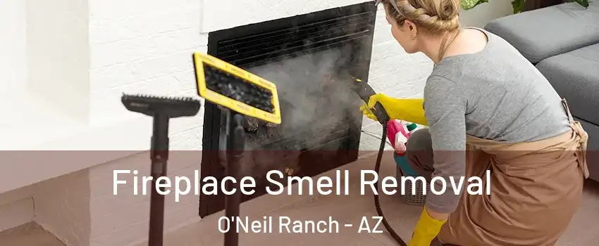 Fireplace Smell Removal O'Neil Ranch - AZ