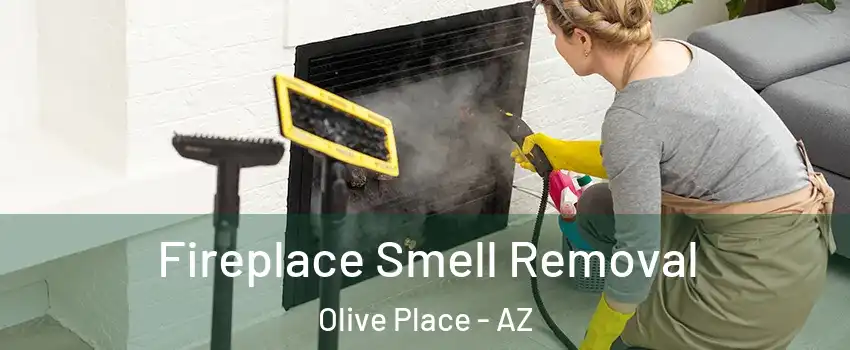 Fireplace Smell Removal Olive Place - AZ