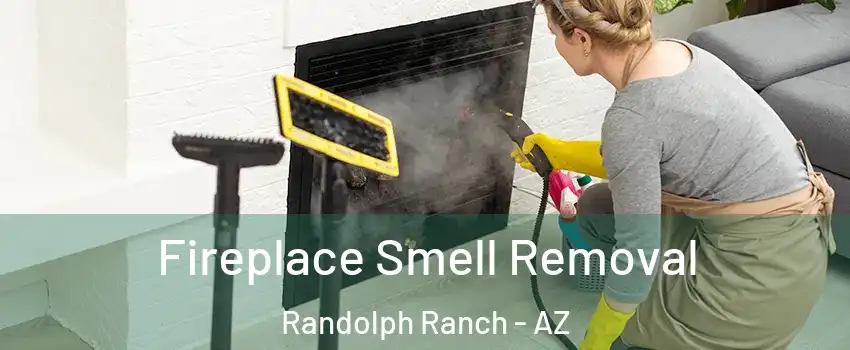 Fireplace Smell Removal Randolph Ranch - AZ
