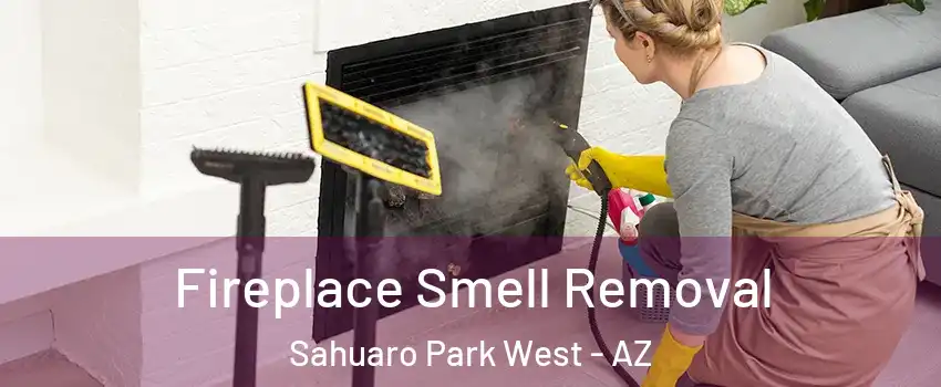 Fireplace Smell Removal Sahuaro Park West - AZ