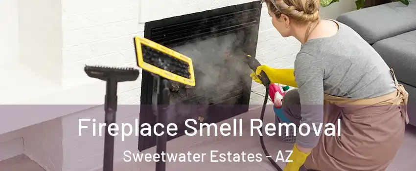 Fireplace Smell Removal Sweetwater Estates - AZ