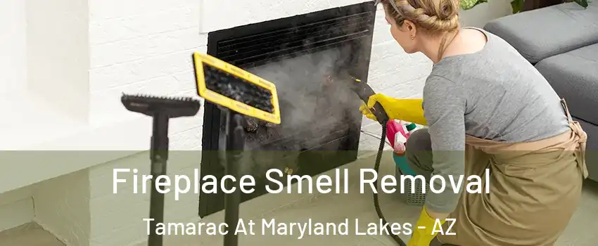 Fireplace Smell Removal Tamarac At Maryland Lakes - AZ