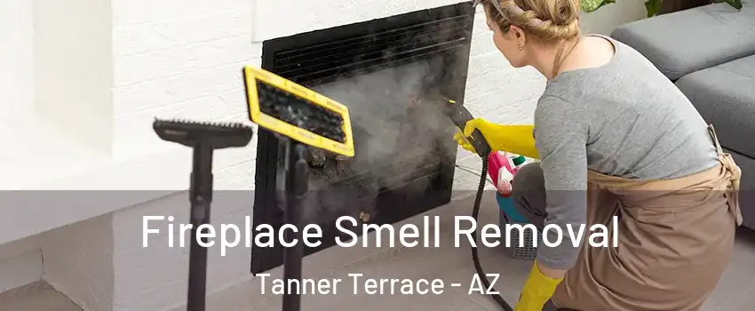 Fireplace Smell Removal Tanner Terrace - AZ