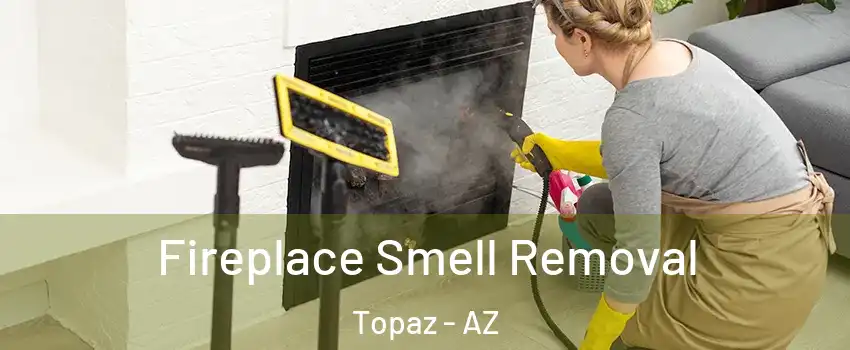 Fireplace Smell Removal Topaz - AZ