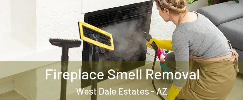 Fireplace Smell Removal West Dale Estates - AZ
