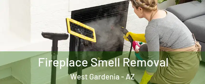 Fireplace Smell Removal West Gardenia - AZ