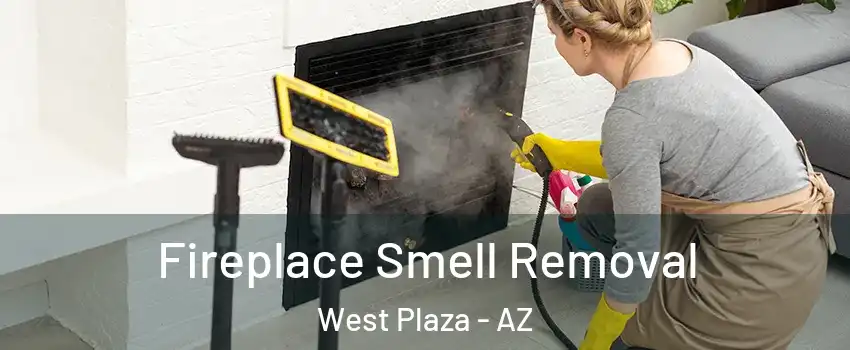 Fireplace Smell Removal West Plaza - AZ