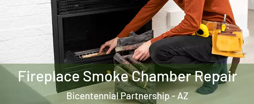 Fireplace Smoke Chamber Repair Bicentennial Partnership - AZ