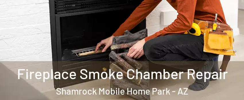 Fireplace Smoke Chamber Repair Shamrock Mobile Home Park - AZ