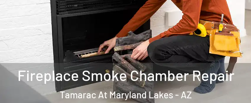 Fireplace Smoke Chamber Repair Tamarac At Maryland Lakes - AZ