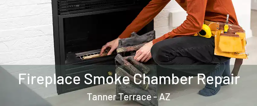 Fireplace Smoke Chamber Repair Tanner Terrace - AZ