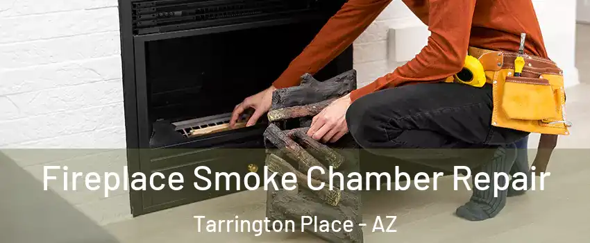 Fireplace Smoke Chamber Repair Tarrington Place - AZ