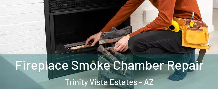 Fireplace Smoke Chamber Repair Trinity Vista Estates - AZ