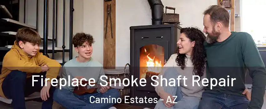 Fireplace Smoke Shaft Repair Camino Estates - AZ