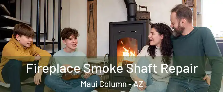 Fireplace Smoke Shaft Repair Maui Column - AZ