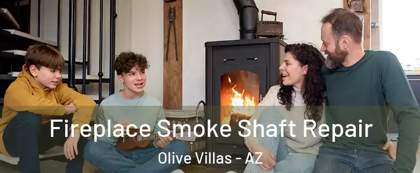 Fireplace Smoke Shaft Repair Olive Villas - AZ