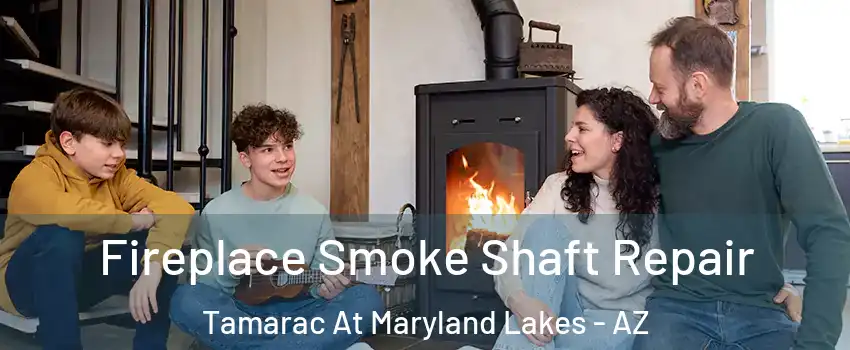 Fireplace Smoke Shaft Repair Tamarac At Maryland Lakes - AZ