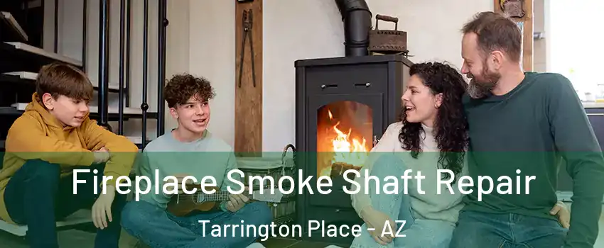 Fireplace Smoke Shaft Repair Tarrington Place - AZ