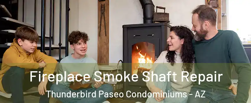 Fireplace Smoke Shaft Repair Thunderbird Paseo Condominiums - AZ