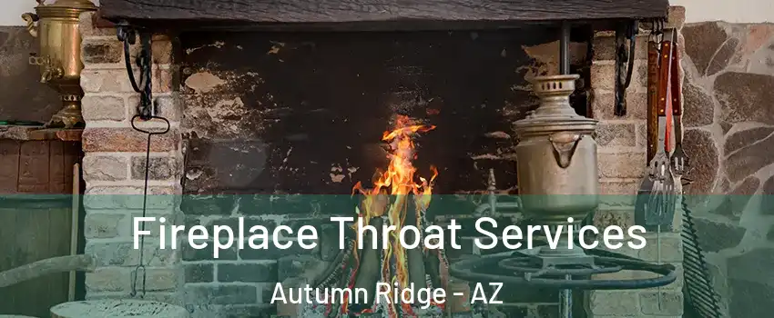 Fireplace Throat Services Autumn Ridge - AZ