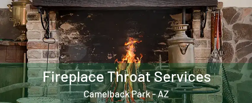 Fireplace Throat Services Camelback Park - AZ