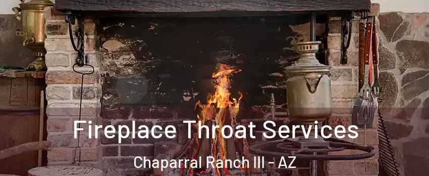 Fireplace Throat Services Chaparral Ranch III - AZ