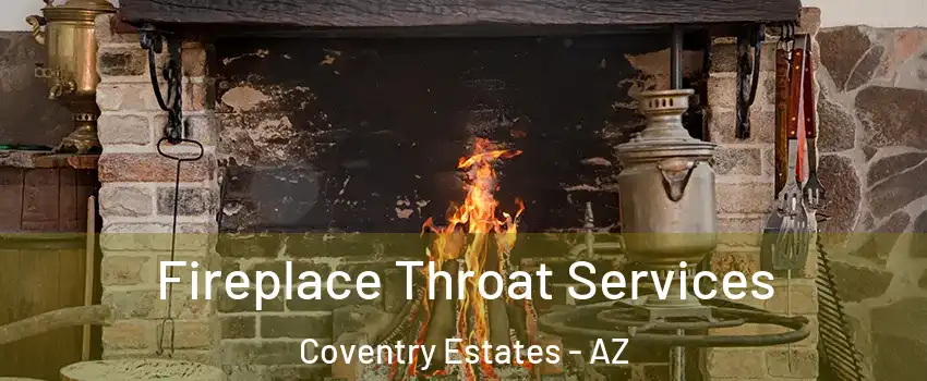 Fireplace Throat Services Coventry Estates - AZ