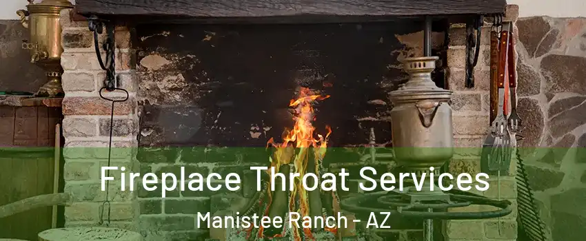 Fireplace Throat Services Manistee Ranch - AZ