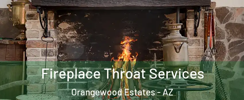 Fireplace Throat Services Orangewood Estates - AZ