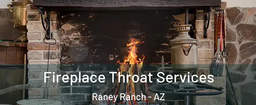 Fireplace Throat Services Raney Ranch - AZ