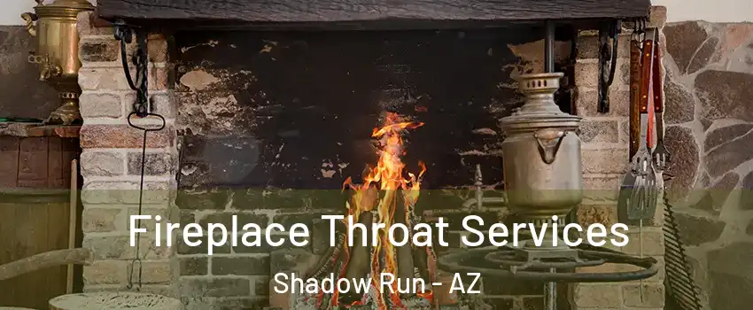 Fireplace Throat Services Shadow Run - AZ