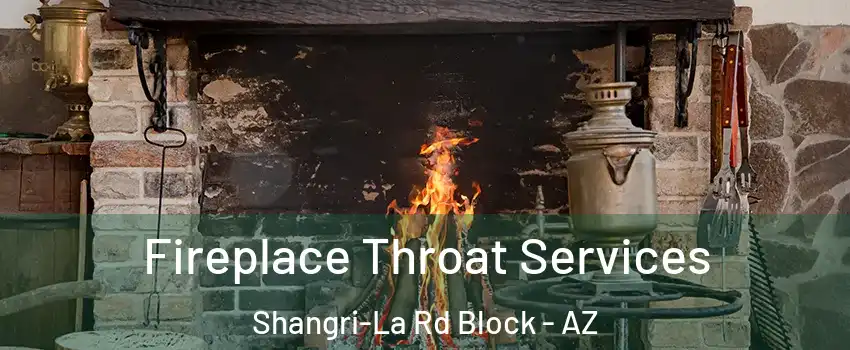 Fireplace Throat Services Shangri-La Rd Block - AZ