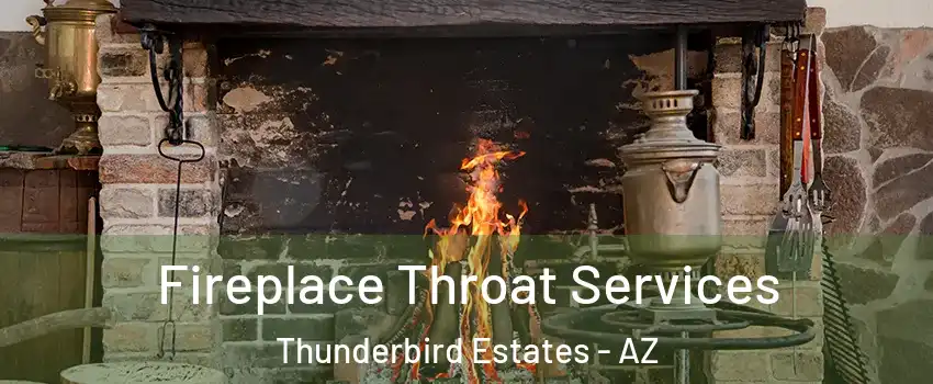 Fireplace Throat Services Thunderbird Estates - AZ