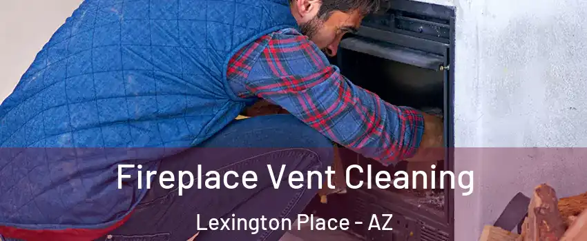 Fireplace Vent Cleaning Lexington Place - AZ