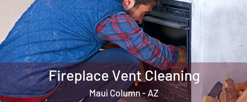 Fireplace Vent Cleaning Maui Column - AZ