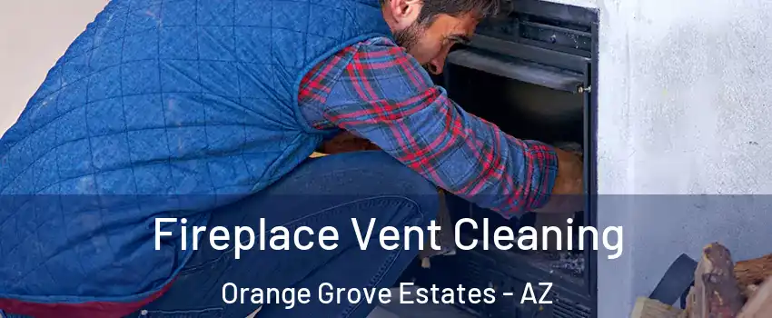 Fireplace Vent Cleaning Orange Grove Estates - AZ